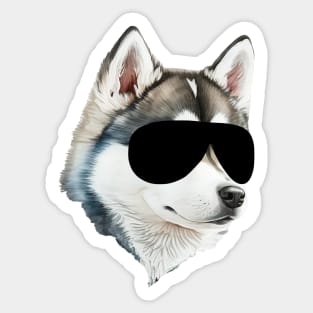 Funny husky Dog with Black Sunglasses Sticker